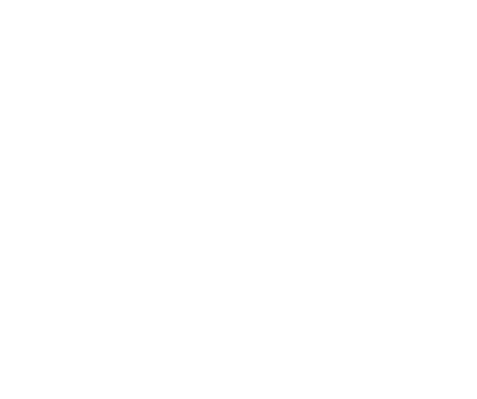 にゃんフォト選手権